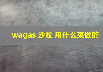 wagas 沙拉 用什么菜做的